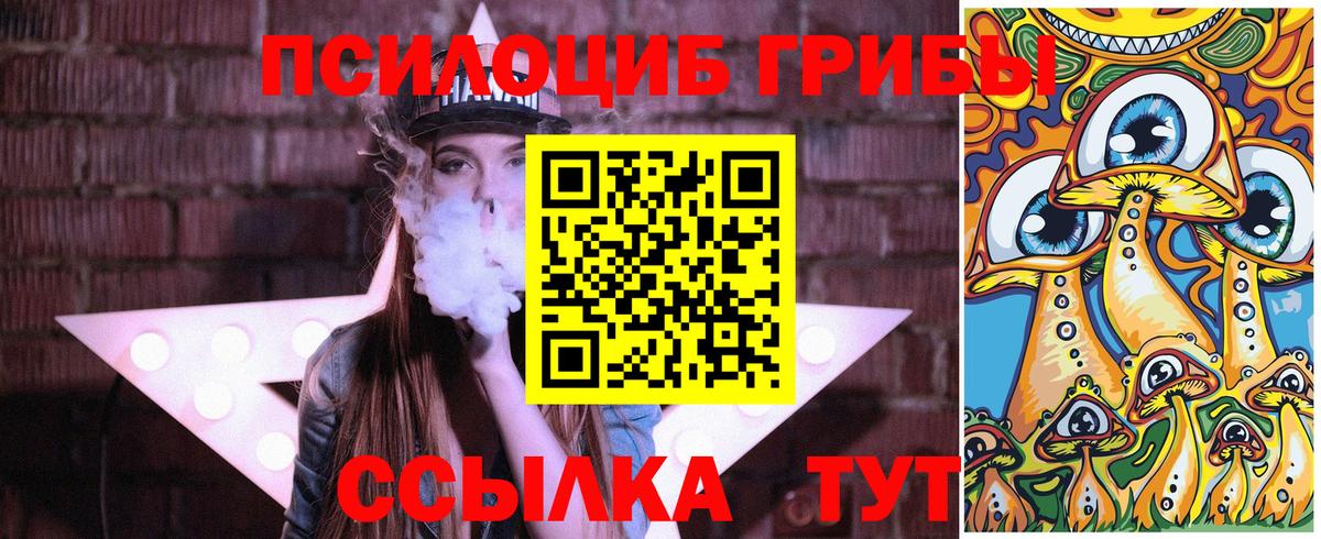 Галлюциногенные грибы MAGIC MUSHROOMS  Вход с VPN  Кунгур  Псилоцибиновые грибы Psilocybe 